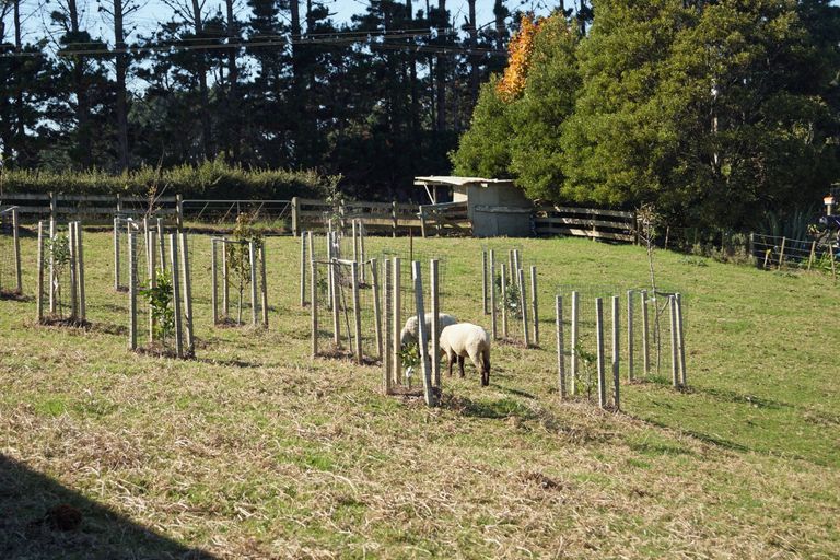 Photo of property in 167 Wymer Road, Glenbrook, Waiuku, 2681