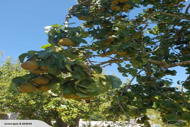 Photo of property in 1014 Cave Albury Road, Albury, Cave, 7984