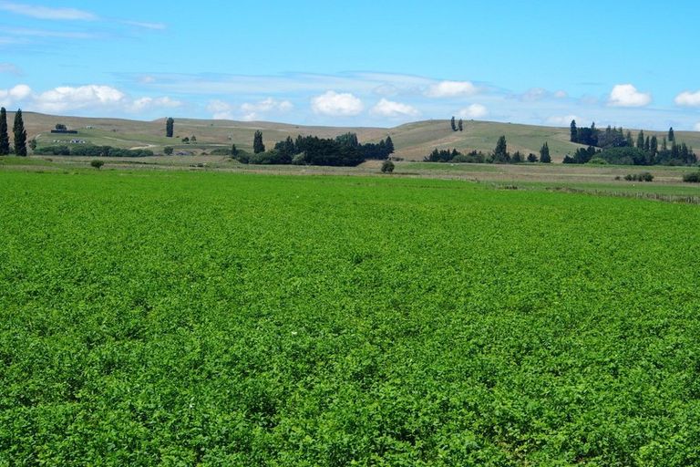 Photo of property in 1/3389 State Highway 2, Takapau, 4281