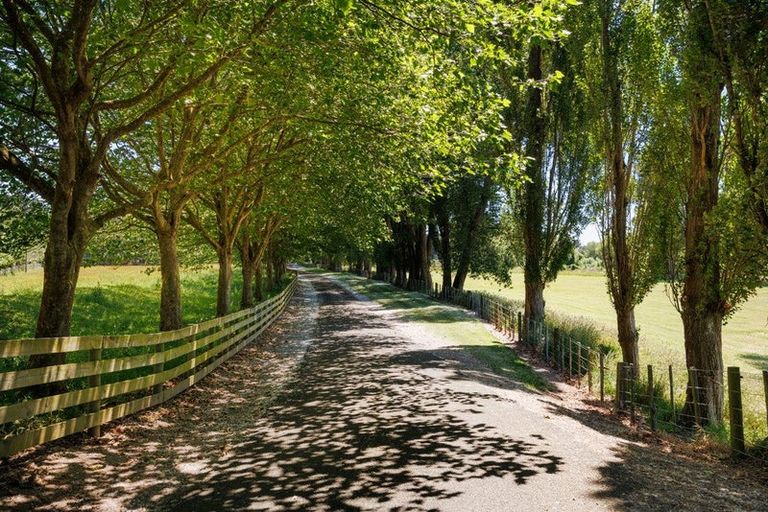 Photo of property in 191 Staces Road, Aokautere, Palmerston North, 4471