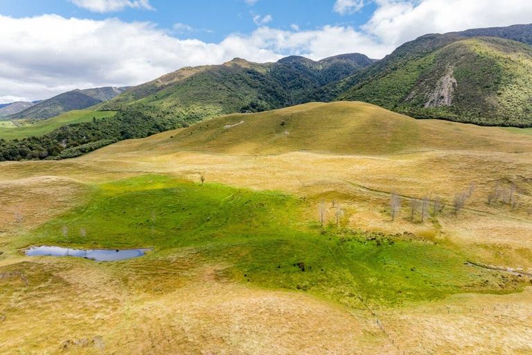 Photo of property in 463 Gull Flat Road, Kereru, Hastings, 4171