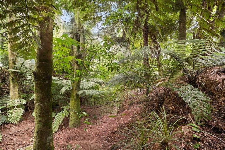 Photo of property in 33f Glentui Lane, Whatawhata, Hamilton, 3293