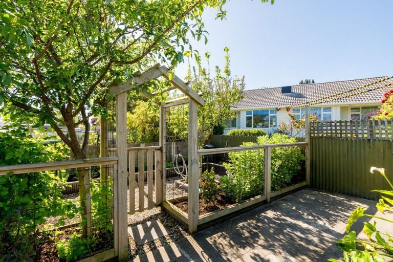 Photo of property in 271 Macandrew Road, Forbury, Dunedin, 9012