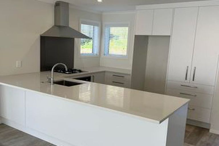 Photo of property in 115a Queen Charlotte Drive, Aotea, Porirua, 5024