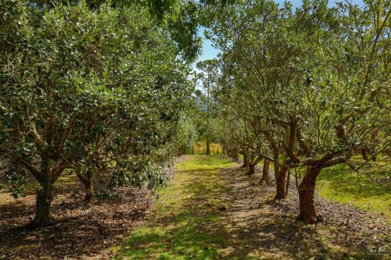 Photo of property in 12 Coulter Road, Swanson, Auckland, 0614