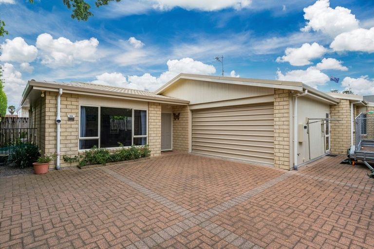 Photo of property in 81b Fourteenth Avenue, Tauranga South, Tauranga, 3112