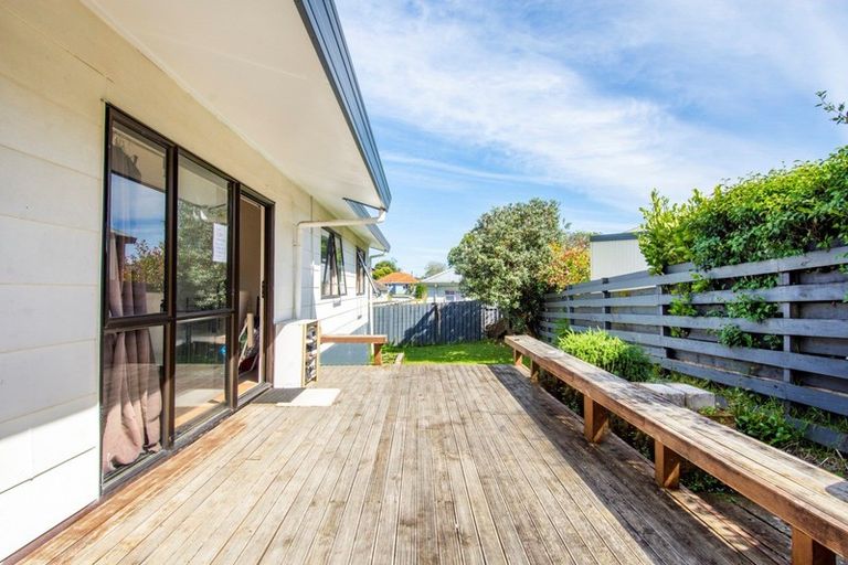 Photo of property in 921b Cameron Road, Gate Pa, Tauranga, 3112