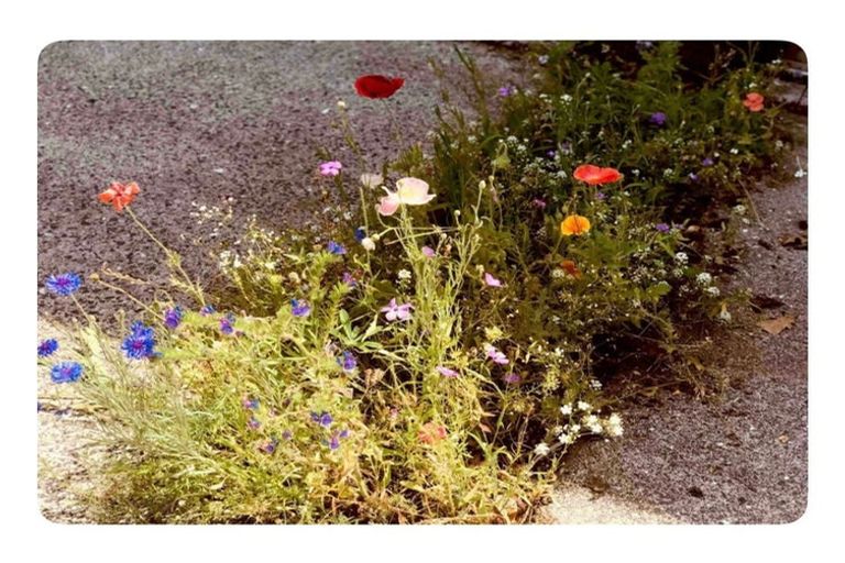 Photo of property in 34 Hawea Street, Mount Maunganui, 3116