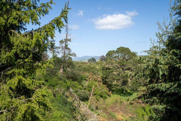 Photo of property in 97 Thornton Road, Cambridge, 3434