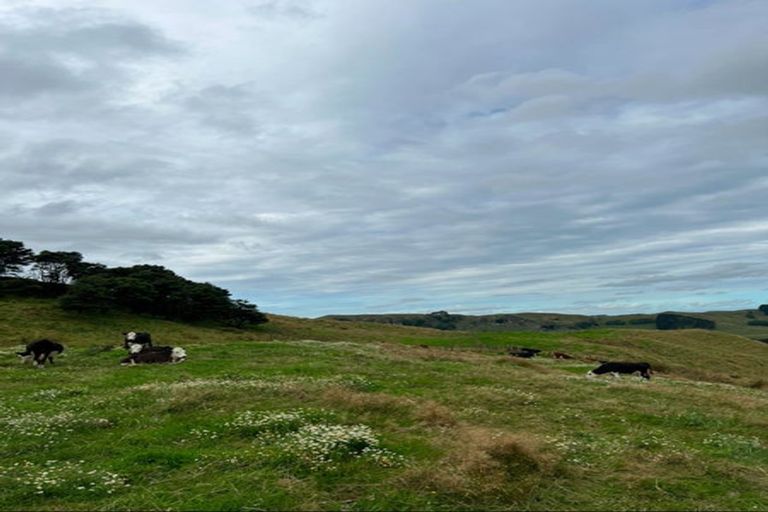 Photo of property in 1314 Wairamarama Onewhero Road, Onewhero, Tuakau, 2697