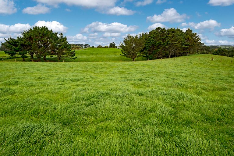Photo of property in 175 Butchers Bridge Road, Otaua, Waiuku, 2683