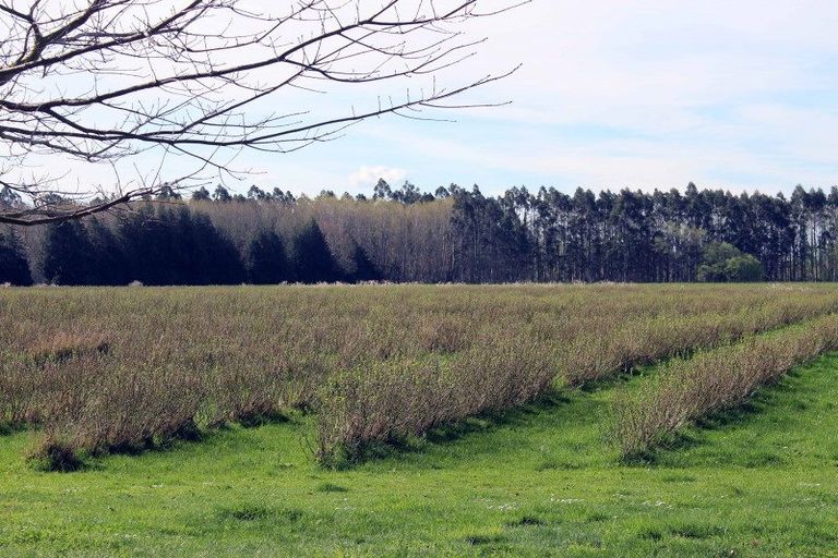 Photo of property in 24 Meadowlinks Lane, Pleasant Point, Timaru, 7974