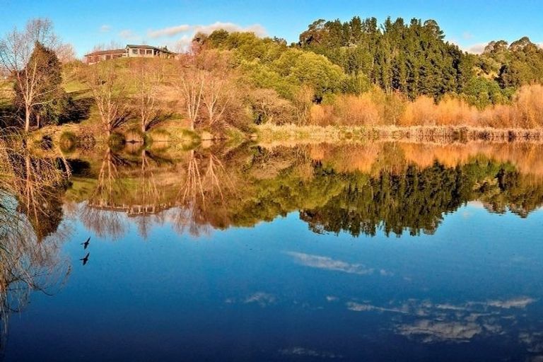 Photo of property in 135 Ballantyne Road, Poraiti, Napier, 4182