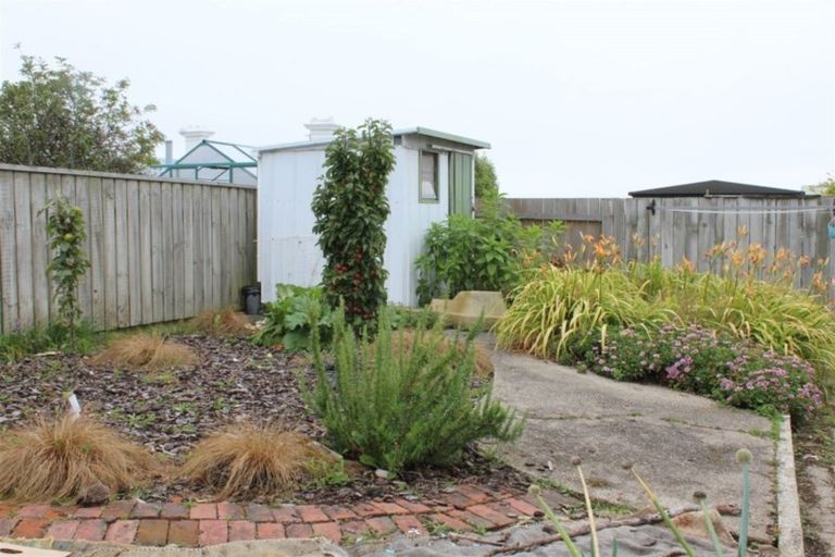 Photo of property in 19 Ventnor Street, Mornington, Dunedin, 9011