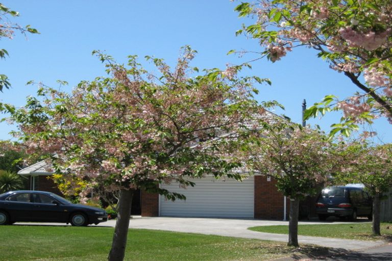 Photo of property in 51 Mansfield Drive, Kaiapoi, 7630