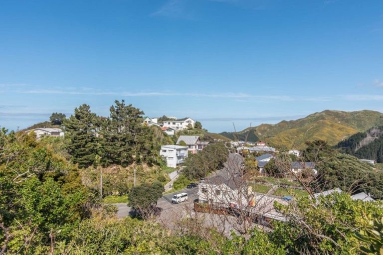 Photo of property in 17 Caribou Place, Kingston, Wellington, 6021