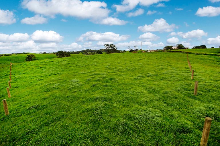Photo of property in 175 Butchers Bridge Road, Otaua, Waiuku, 2683