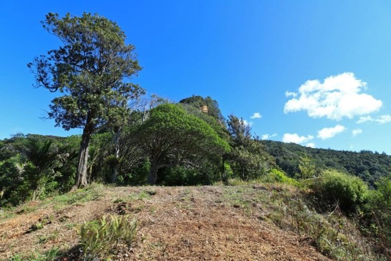 Photo of property in 27 Boulder Bay Drive, Tuateawa, Coromandel, 3583