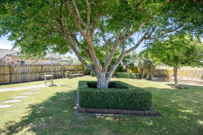 Photo of property in 8 Harris Place, Ngatea, 3503