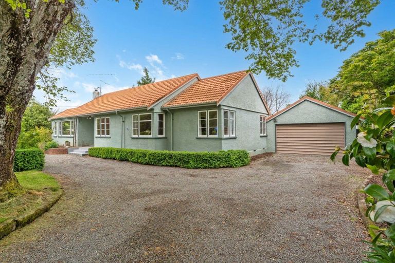 Photo of property in 117 Harley Street, Solway, Masterton, 5810
