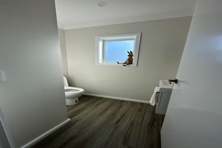 Photo of property in 158a John Burke Drive, Aotea, Porirua, 5024