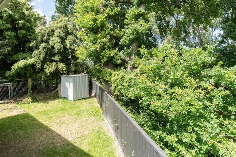 Photo of property in 119c Rimu Street, Maeroa, Hamilton, 3200