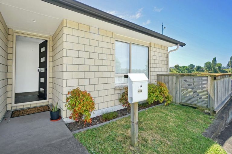 Photo of property in 8a Cannell Farm Drive, Te Puke, 3119
