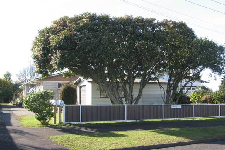 Photo of property in 81 Ohaupo Road, Melville, Hamilton, 3206