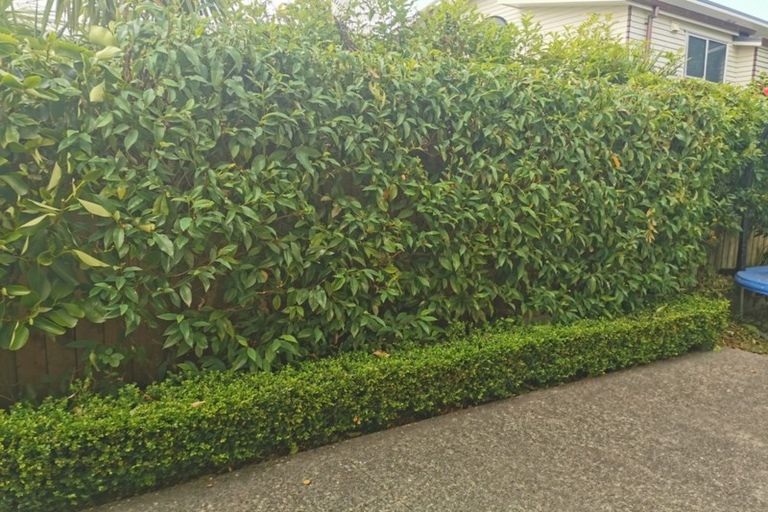 Photo of property in 46 Hattaway Avenue, Bucklands Beach, Auckland, 2012