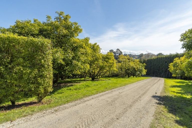 Photo of property in 37 Munro Road, Minden, Tauranga, 3179