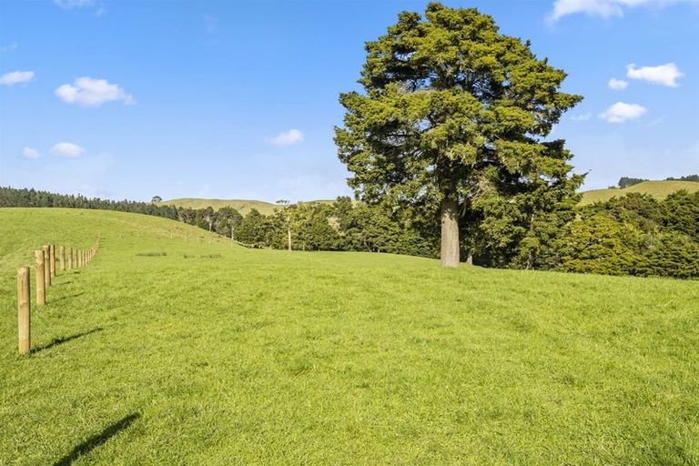 Photo of property in 216 Haruru Road, Kaukapakapa, 0873