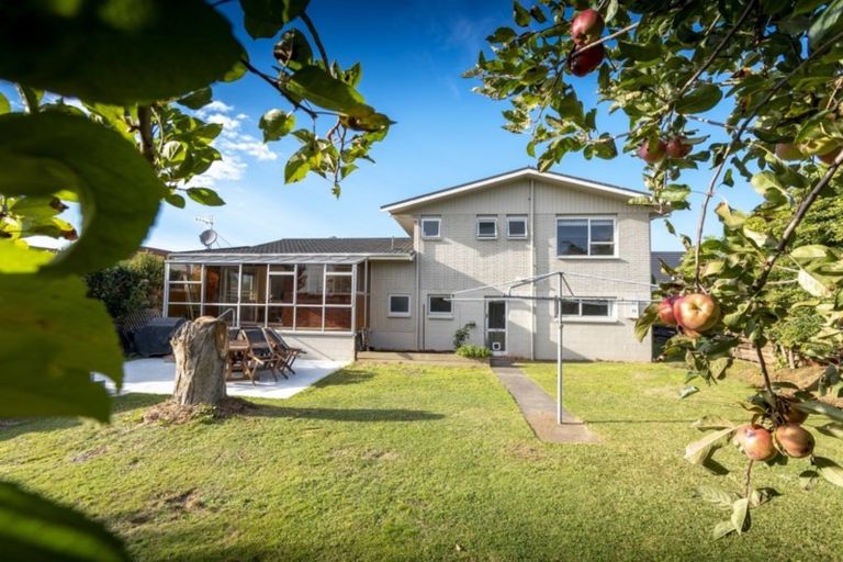 Photo of property in 34 Kauri Crescent, Matamata, 3400