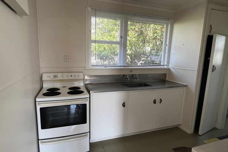 Photo of property in 117 Victoria Avenue, Hokowhitu, Palmerston North, 4410