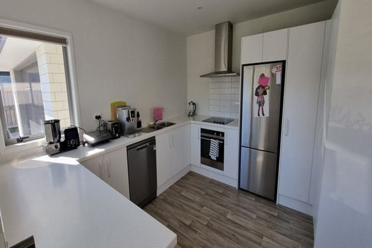 Photo of property in 17 Regent Street, Lower Shotover, Queenstown, 9304