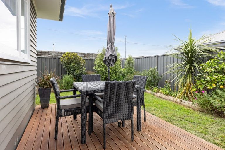 Photo of property in 99a Kenilworth Road, Mayfair, Hastings, 4122