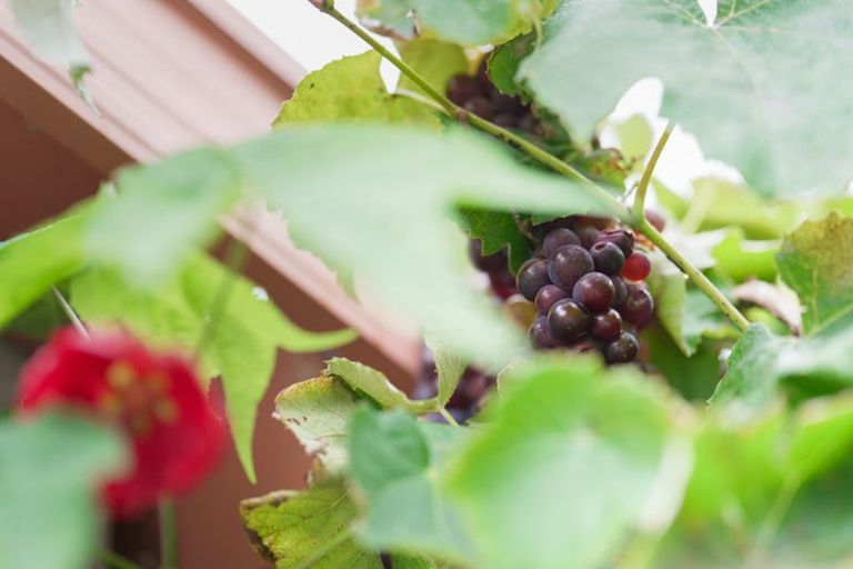 Photo of property in 11a Freemans Road, Otaki, 5512