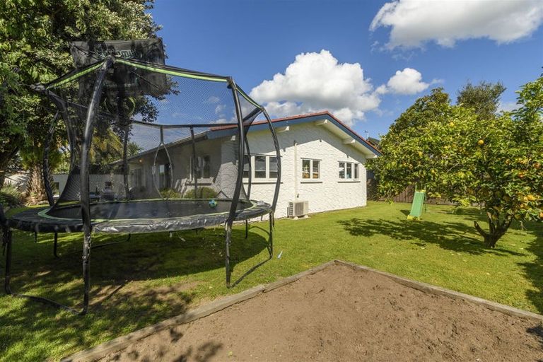 Photo of property in 6 Tudor Place, Mount Maunganui, 3116