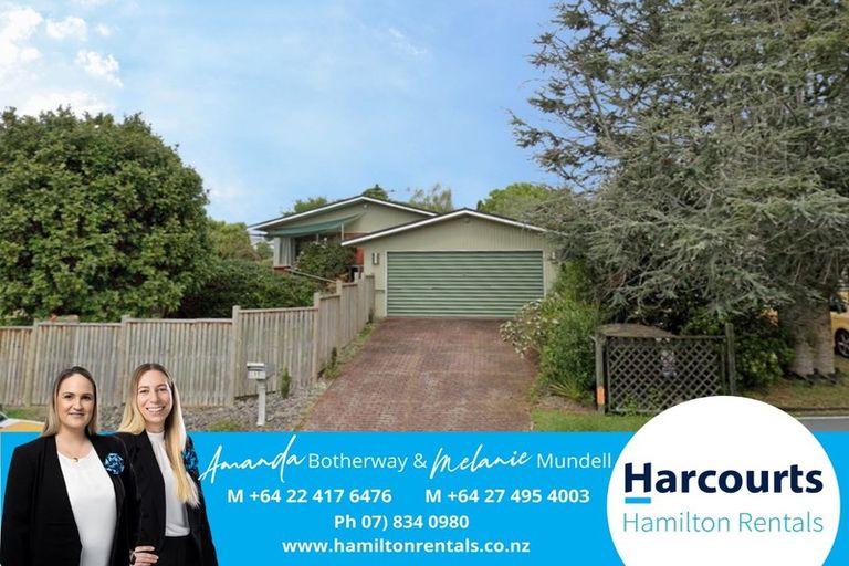 Photo of property in 17 Sunnyhills Avenue, Glenview, Hamilton, 3206