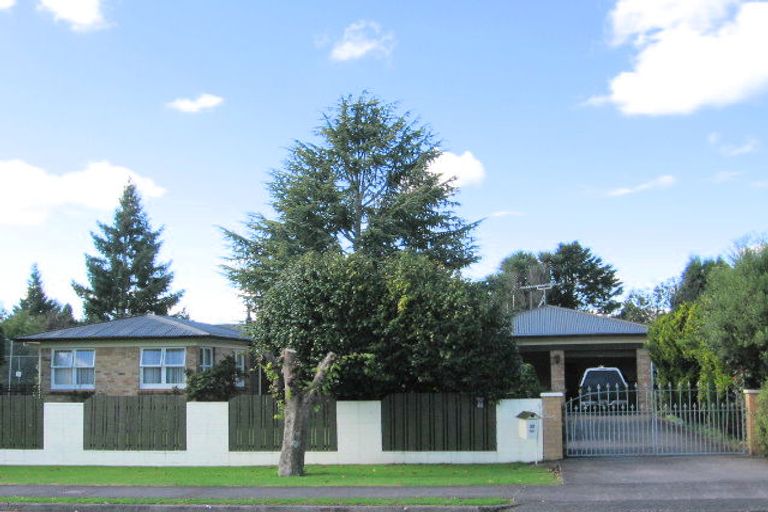 Photo of property in 21 Glenshea Street, Putaruru, 3411