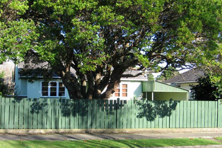 Photo of property in 53 Savage Crescent, West End, Palmerston North, 4412