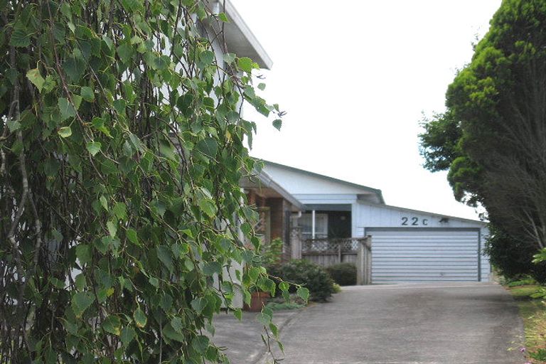 Photo of property in 22b New Windsor Road, Avondale, Auckland, 0600