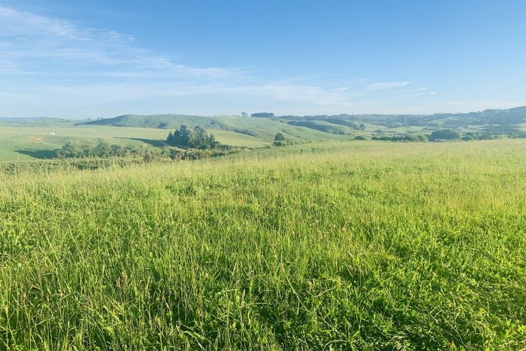 Photo of property in 231b Morgan Road, Matamata, 3472