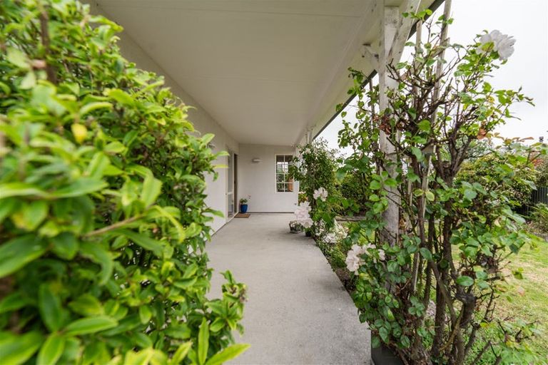 Photo of property in 14b Ossian Street, Milton, 9220