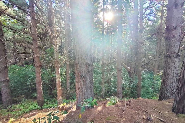 Photo of property in 565 Birch Road East, Herbertville, Dannevirke, 4970