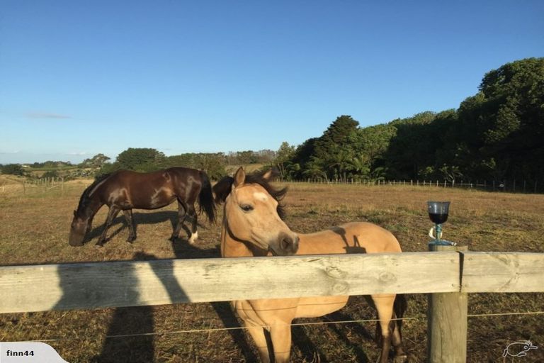 Photo of property in 186 Creamery Road, Pollok, Waiuku, 2683