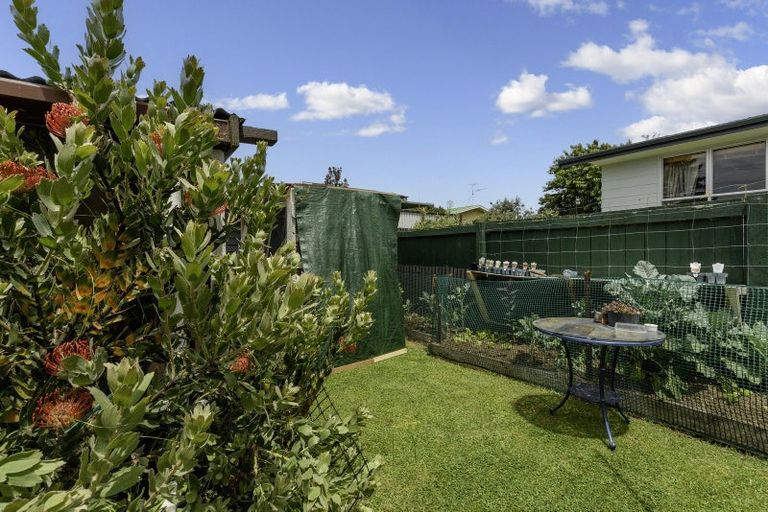 Photo of property in 8 Cornwall Street, Gate Pa, Tauranga, 3112