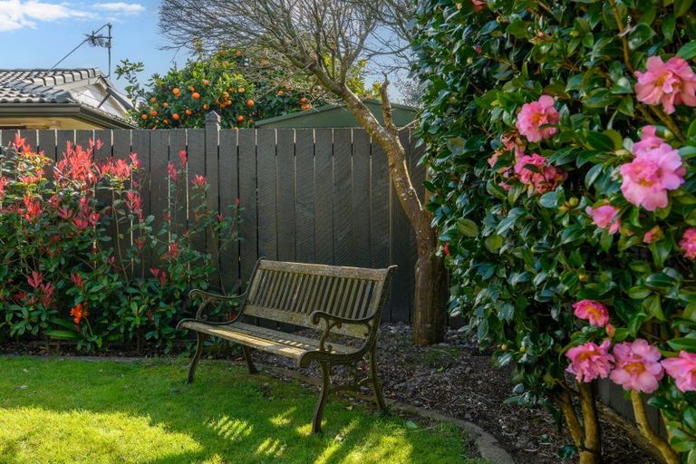 Photo of property in 2/81 Sixth Avenue, Tauranga, 3110