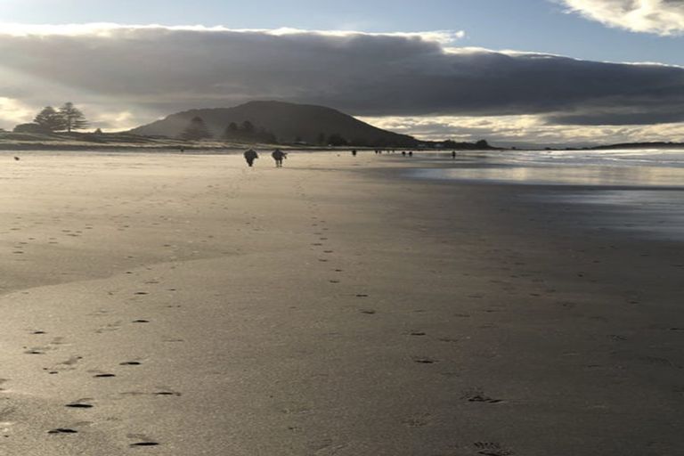 Photo of property in 222a Oceanbeach Road, Mount Maunganui, 3116