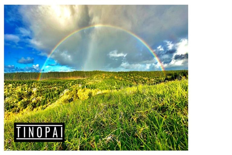 Photo of property in 1509 Tinopai Road, Tinopai, Matakohe, 0593