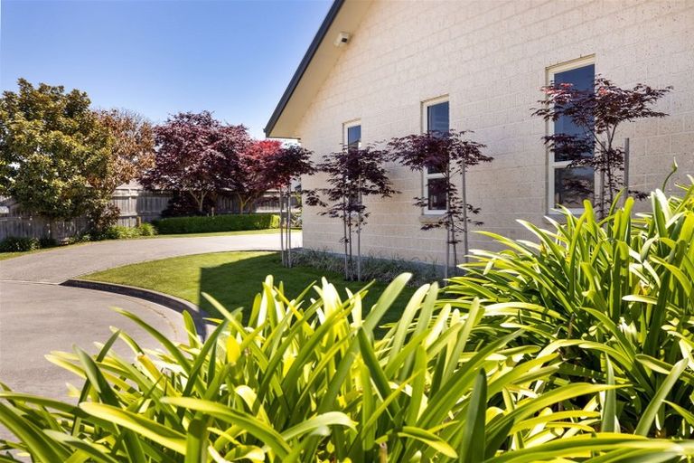 Photo of property in 6 Spring Haven Place, Springlands, Blenheim, 7201